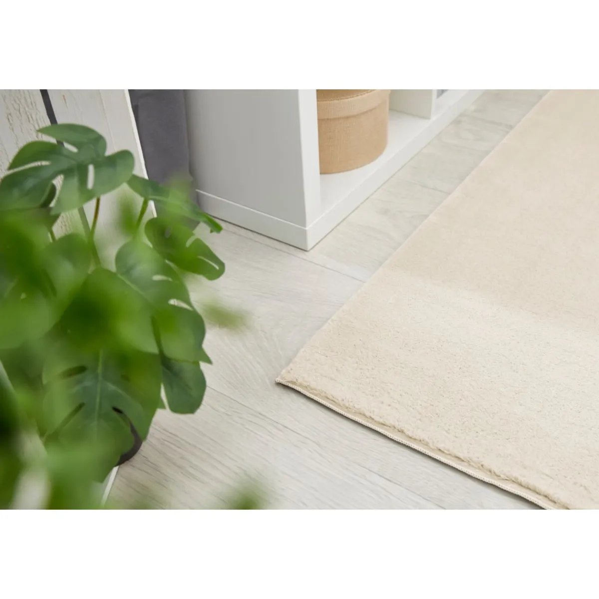 Discount andiamo Teppich Arezzo 80x150 cm creme