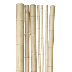 Best Windhager Bambusrohr 200x3-4cm