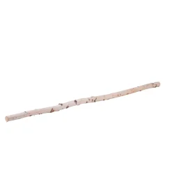 Best Birkenstamm Länge 180 cm Durchmesser