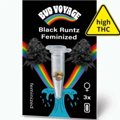 Clearance Bud Voyage Hanfsamen Black Runtz Feminisiert