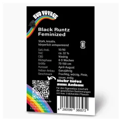 Clearance Bud Voyage Hanfsamen Black Runtz Feminisiert