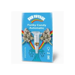Clearance Bud Voyage Hanfsamen Funky Candy Auto
