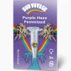 Clearance Bud Voyage Hanfsamen Purple Haze Feminisiert