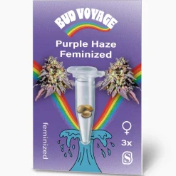Clearance Bud Voyage Hanfsamen Purple Haze Feminisiert