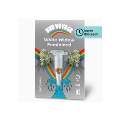 Discount Bud Voyage Hanfsamen White Widow Fem