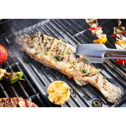 Best Char-Broil CBGas2Coal 2.0 330 Special Edition
