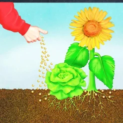 Clearance Compo BIO Naturdünger Guano kg