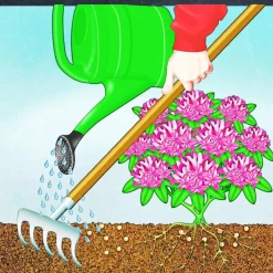 Best Compo BIO Rhododendron- und Hortensien Langzeit-Dünger mit Schafwolle