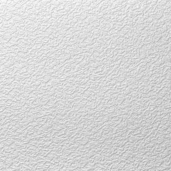 Discount Deckenplatte AP 103 50x50 cm