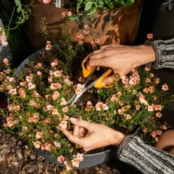 Sale Fiskars Gartenschere Solid Micro-Tip SP130