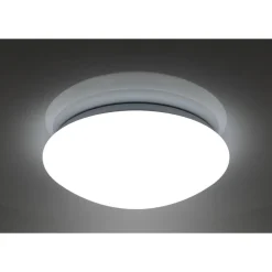 Online Flector LED-Wand- und Deckenleuchte Sandy dimmbar 30 cm