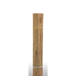 floraworld Sichtschutz Classic Bambushalbsch 3,0x1,5 m