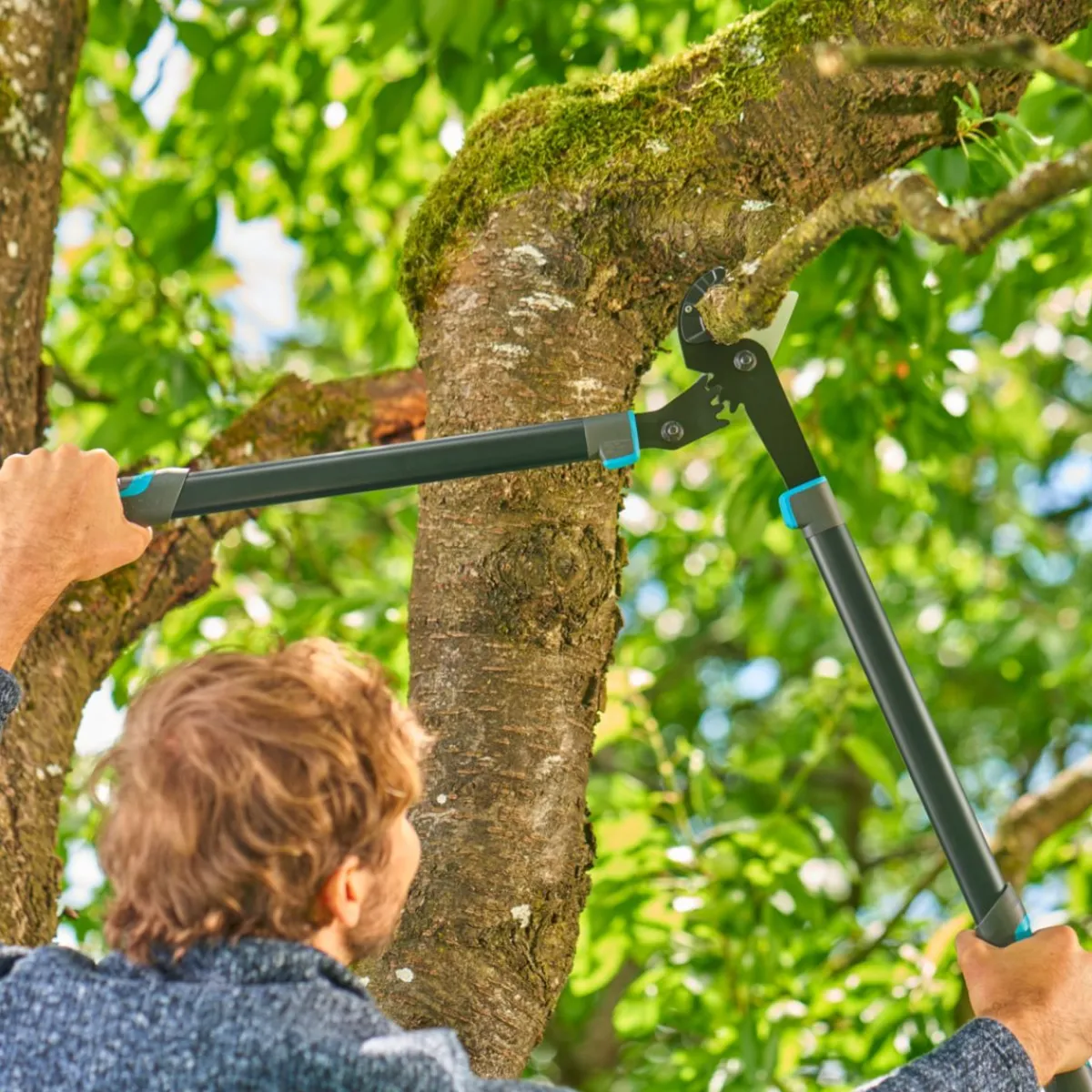Best Gardena Astschere EnergyCut Pro L Amboss