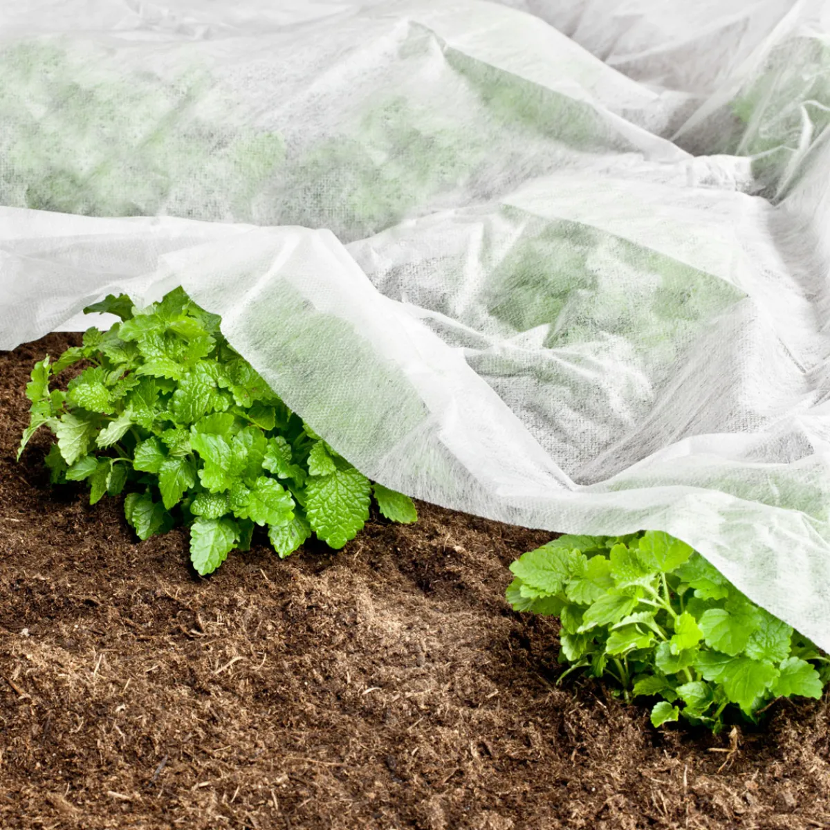 Best Windhager Garten-Vlies 10x1,5 mweiß AKTION