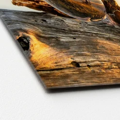 New Pro-Art Glas-Art Drop On Wood 30 x 30 Glasbild