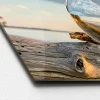 Outlet Pro-Art Glas-Art Drop On Wood 30 x 80 Glasbild