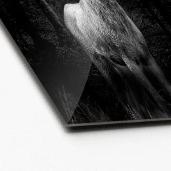 New Pro-Art Glas-Art Grey Deer Head 20 x 20 Glasbild