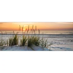 Discount Pro-Art Glas-Art Lonely Dune 30 x 80 Glasbild