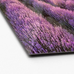 Clearance Pro-Art Glas-Art Silence 50 x 50 Glasbild