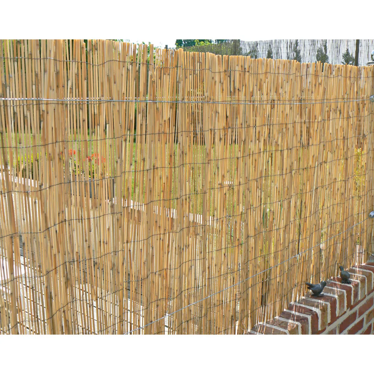 Sale Hartmann Schilfrohrmatte Malaga 100 x 600 cm
