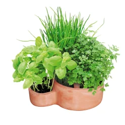 Best Haveson Kräuterspirale Mediterrano 40 x 25 x 20 cm
