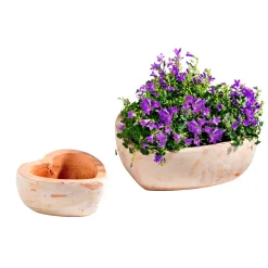 Sale Haveson Pflanzschale Herz groß
