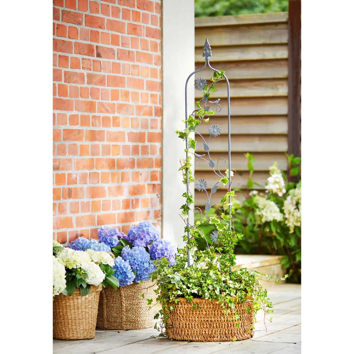 Haveson Rankstecker FLORA 151 cm