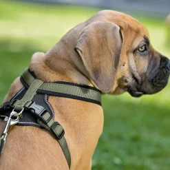 Hunter Geschirr Neopren oliv-schwarz Größe XS