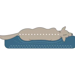 Sale Hunter Orthopädisches Hundekissen Merida anthrazit 100 x 70 cm Größe L