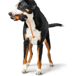 Best Hunter Trainer Snack-Dummy mit Seil orange-schwarz 34 cm
