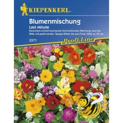 Outlet Kiepenkerl Blumenmischung Last Minute Profi-Line