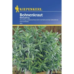 Outlet Kiepenkerl Bohnenkraut mehrjährig