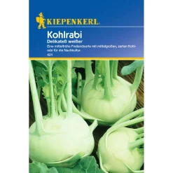 Hot Kiepenkerl Kohlrabi Delikateß weiß