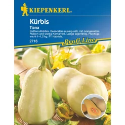Online Kiepenkerl Kürbis Tiana