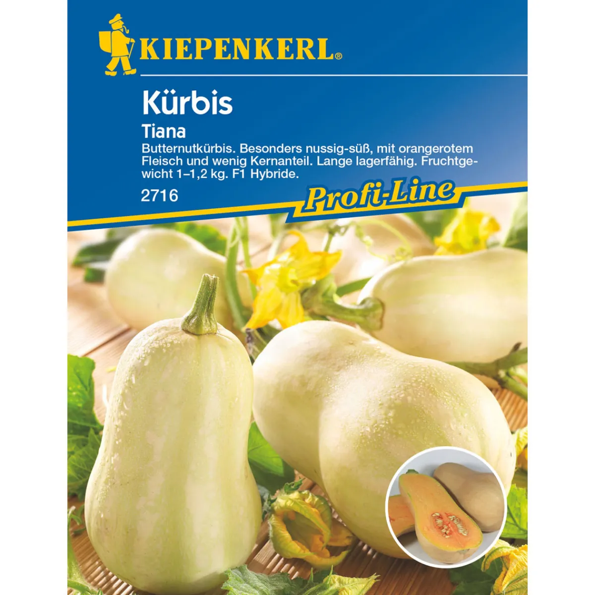 Online Kiepenkerl Kürbis Tiana