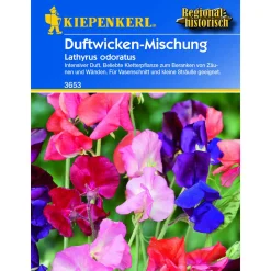 Discount Kiepenkerl Lathyrus Mischung