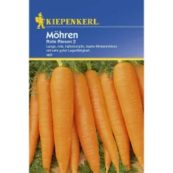 Hot Kiepenkerl Möhren Rote Riesen 2