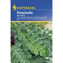 Best Kiepenkerl Pimpinelle mehrjährig