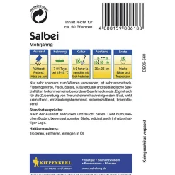 New Kiepenkerl Salbei mehrjährig