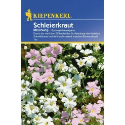 Outlet Kiepenkerl Schleierkraut Gypsophila einjährig