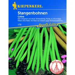 Hot Kiepenkerl Stangenbohne Cobra