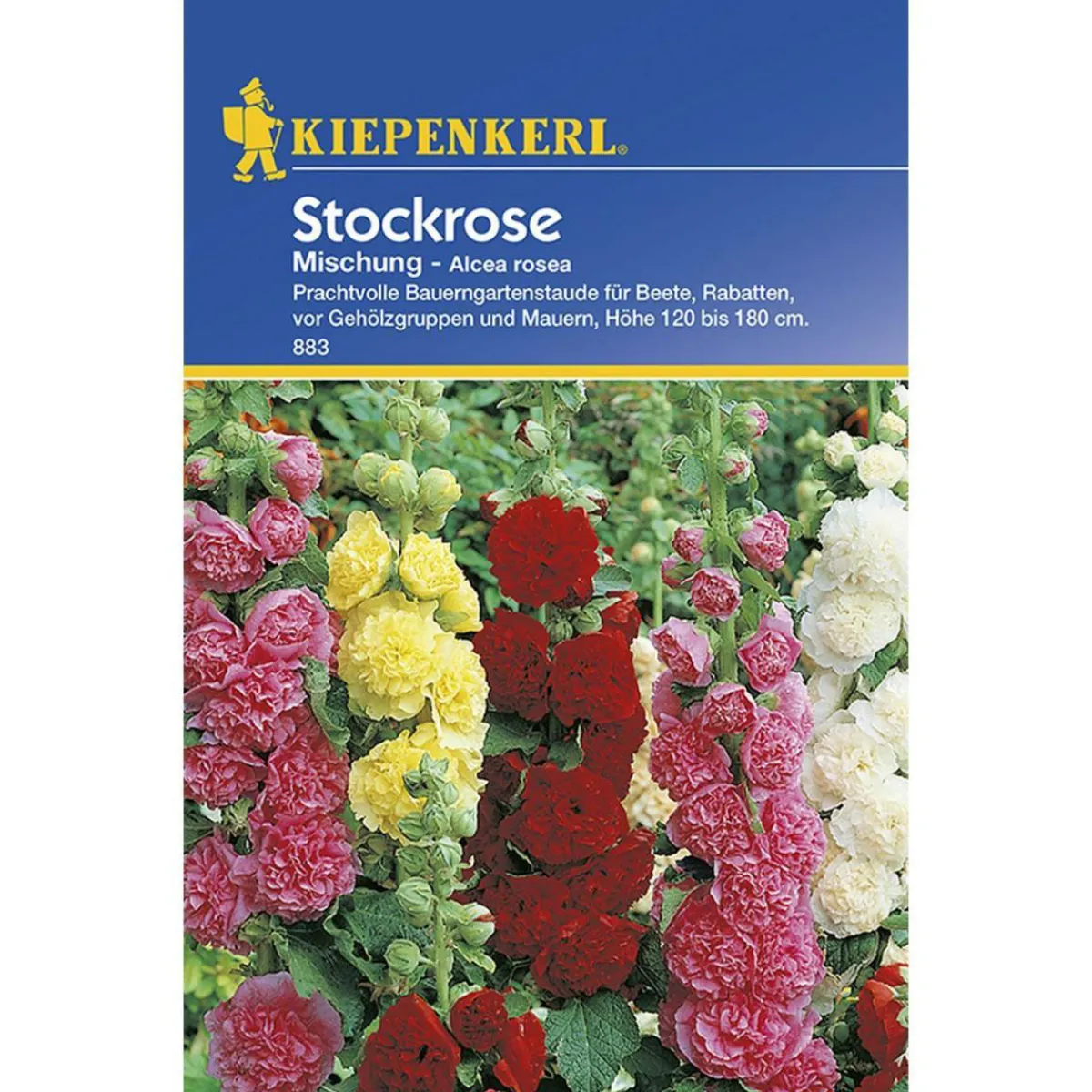 Outlet Kiepenkerl Stockrosen Mischung
