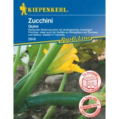 Sale Kiepenkerl Zucchini Quine
