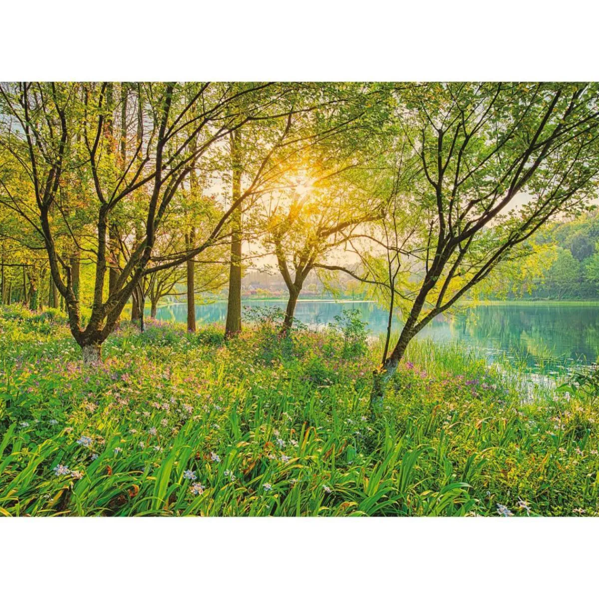 Sale Komar Papier-Fototapete Spring Lake 8-teilig 368 x 254 cm