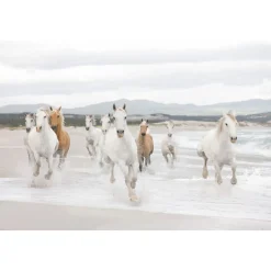 Sale Komar Papier-Fototapete White Horses 8-teilig 368 x 254 cm
