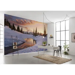 Discount Komar Vlies Fototapete America the Beautiful 450x280 cm