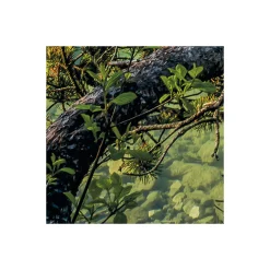 Discount Komar Vlies Fototapete Beautiful Germany 200x250 cm
