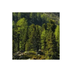 Discount Komar Vlies Fototapete Bergmagie 450x280 cm