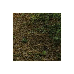 Clearance Komar Vlies Fototapete Blütenzauberwald 450x280 cm