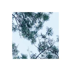 Discount Komar Vlies Fototapete Blue Waters 400x250 cm
